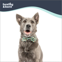 Huxley & Kent Pet Bow Tie for Dogs & Cats - I'm Prickly Cactus / Large - image 3
