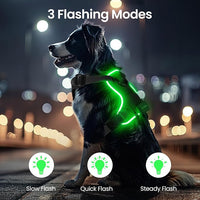 Light Up Dog Harness,No Pull Led Dog Harness Rechargeable, Reflective Lighted Safety Vest for Small Medium Large Dogs,High Visibility,4 Point Adjustable,Breathable Soft Mesh,Black,S