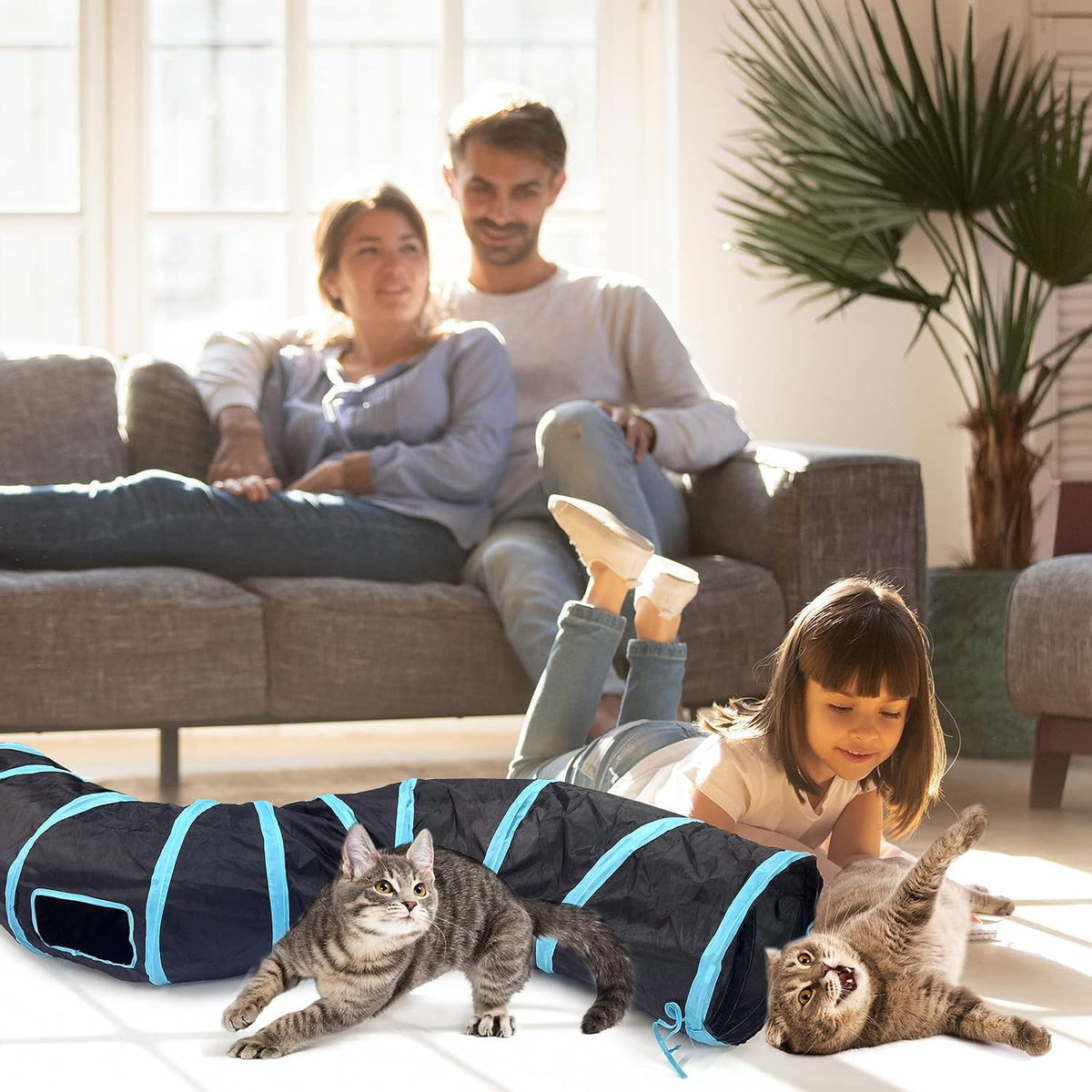 Bemodst Cat Tunnel for Indoor Cats - S-Type 2 Way - image 4
