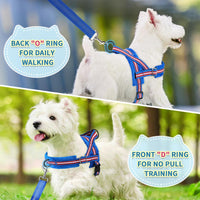 SlowTon No Pull Small Dog Harness and Leash Set with Front Clip – Essentials for Dogs - Small / Dark Blue - image 4