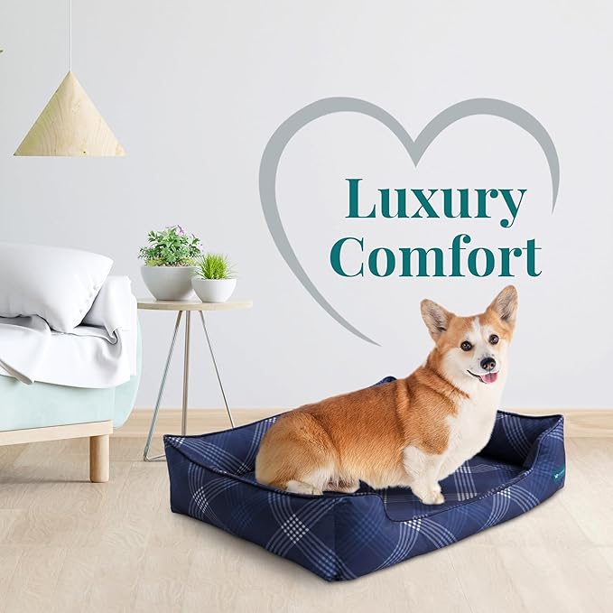 Orthopedic Bolster Dog Bed – CertiPUR-US Foam, Recycled Polyester Canvas, Washable Cover, Anti-Slip Bottom, Large, Navy Plaid – Stylish Designer Dog Sofa