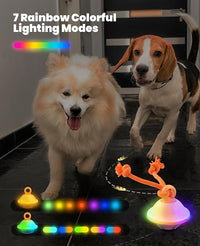Interactive Dog Toys, Automatic Moving and Rolling LED Light Up Dogs Ball with Rope, Motion-Activated Wicked Ball for Small Medium Pup, Stimulation Toy for Boredom Relief