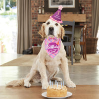 Dog Birthday Hat Bandana Set, Blue Plaid Boy Dog Bandana - Large / Pink Violet Girl - image 2