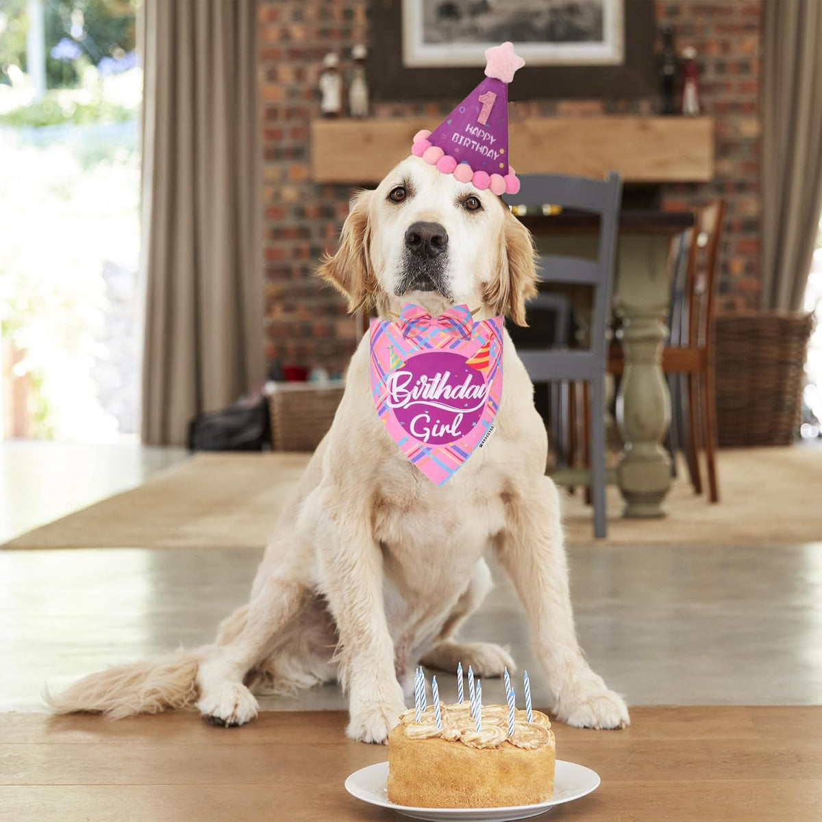 Dog Birthday Hat Bandana Set, Blue Plaid Boy Dog Bandana - Large / Pink Violet Girl - image 2