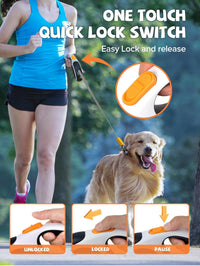 Retractable Dog Leash with LED Flashlight - Black-White - image 4