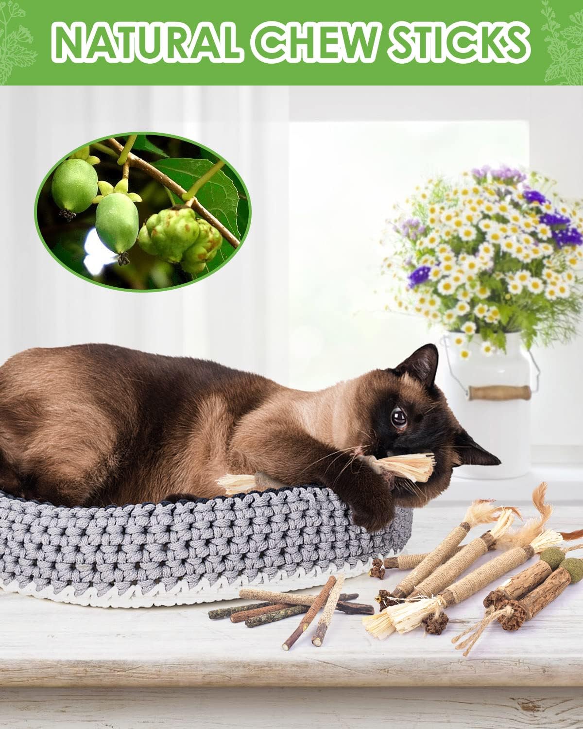 TINDTOP Catnip Chew Toys for Cats - 12 Pack - image 2