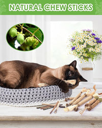 TINDTOP Catnip Chew Toys for Cats, 12 Pack Natural Silvervine Sticks for Kittens Teeth Cleaning, Matatabi Dental Care, Increase Appetite, Calm Cat Anxiety and Stress, Aggressive Chewers Cat Dental Toy