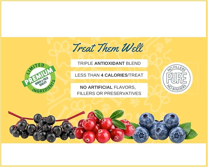 Bench & Field Holistic Natural Chicken Liver & Triple Berry Dog Treats | Crunchy Bone-Shaped Bites | Antioxidant Blend, 10-Ounce Bottle