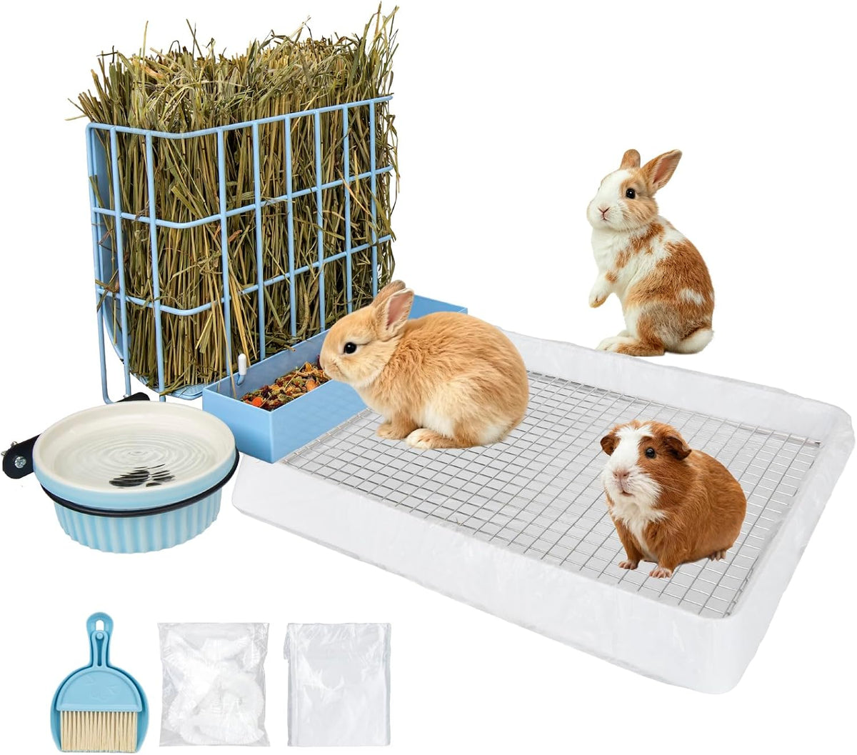 3 in 1 Guinea Pig Hay Feeder with Litter Box & Water Bowl - 10in set / Blue