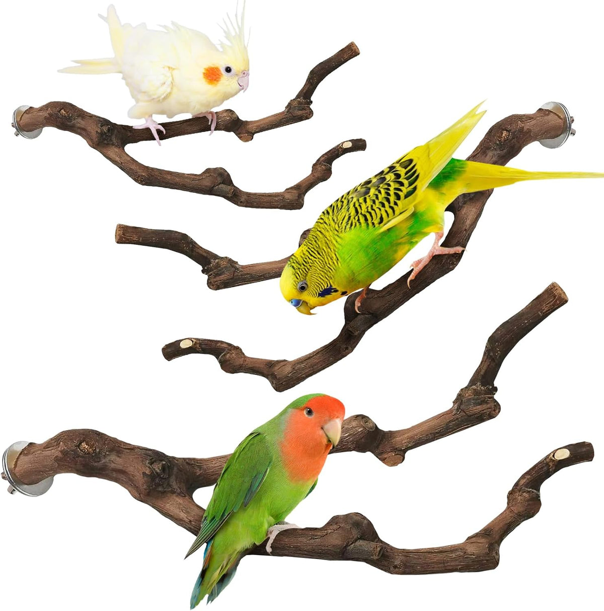 PINVNBY 3 Sizes Natural Parrot Perch Grape Wood Bird Stand Pole - 5.9+7.9+9.8in