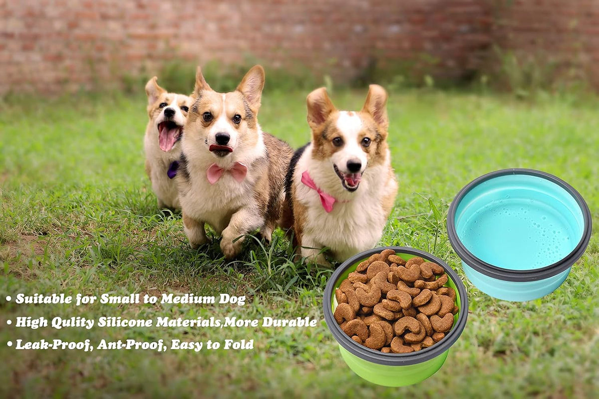Joyinjojo Collapsible Dog Bowls with Lids - Medium / Blue / Green - image 4