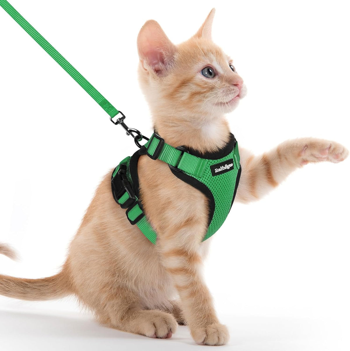 rabbitgoo Cat Harness and Leash Set, Escape Proof Vest - Xxs / Grass Green