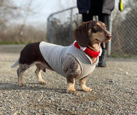 Gooby Fleece Vest Dog Sweater - Gray-Yellow / Large (Around 18-lb) - image 2