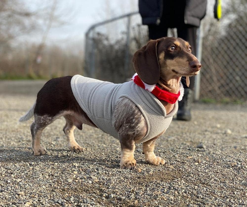 Gooby Fleece Vest Dog Sweater - Gray-Yellow / Large (Around 18-lb) - image 2