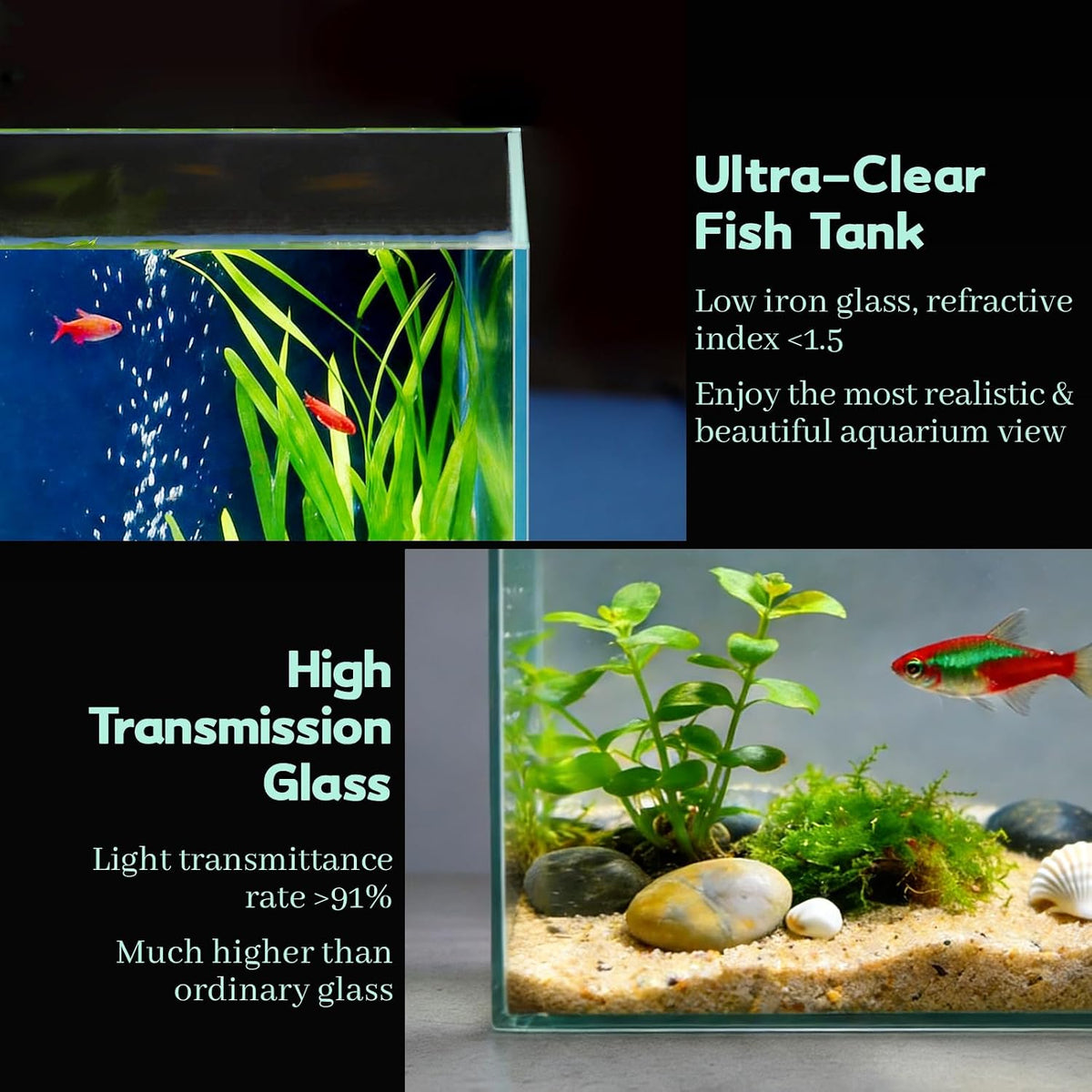 2 Gallon Glass Fish Bowl with Decor - 1 gal square - image 3