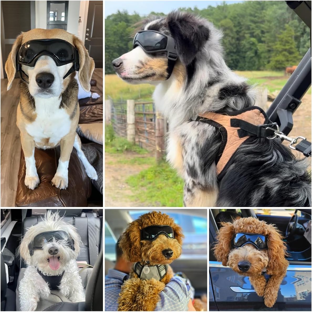 Dog Sunglasses for Extra Small Breed UV Protection Windproof XS Dog - Medium / Black - image 2