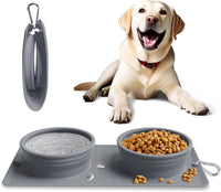 Collapsible Portable 2-in-1 Dog Bowl - Grey