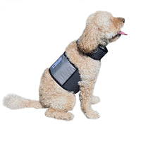 CoolerDog Dog Cooling Vest & Cooling Collar - S
