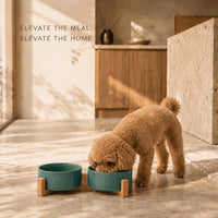 SPUNKYJUNKY Ceramic Dog and Cat Bowl with Wood Stand Non-Slip Matte - 1.7 cups / Light Green × 2 - image 2