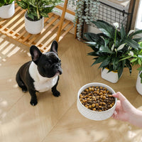 MALACASA Dog Bowl Set, Ceramic Bowls with Walnut Wood Stand - Honeycomb / 2 Cups - image 3