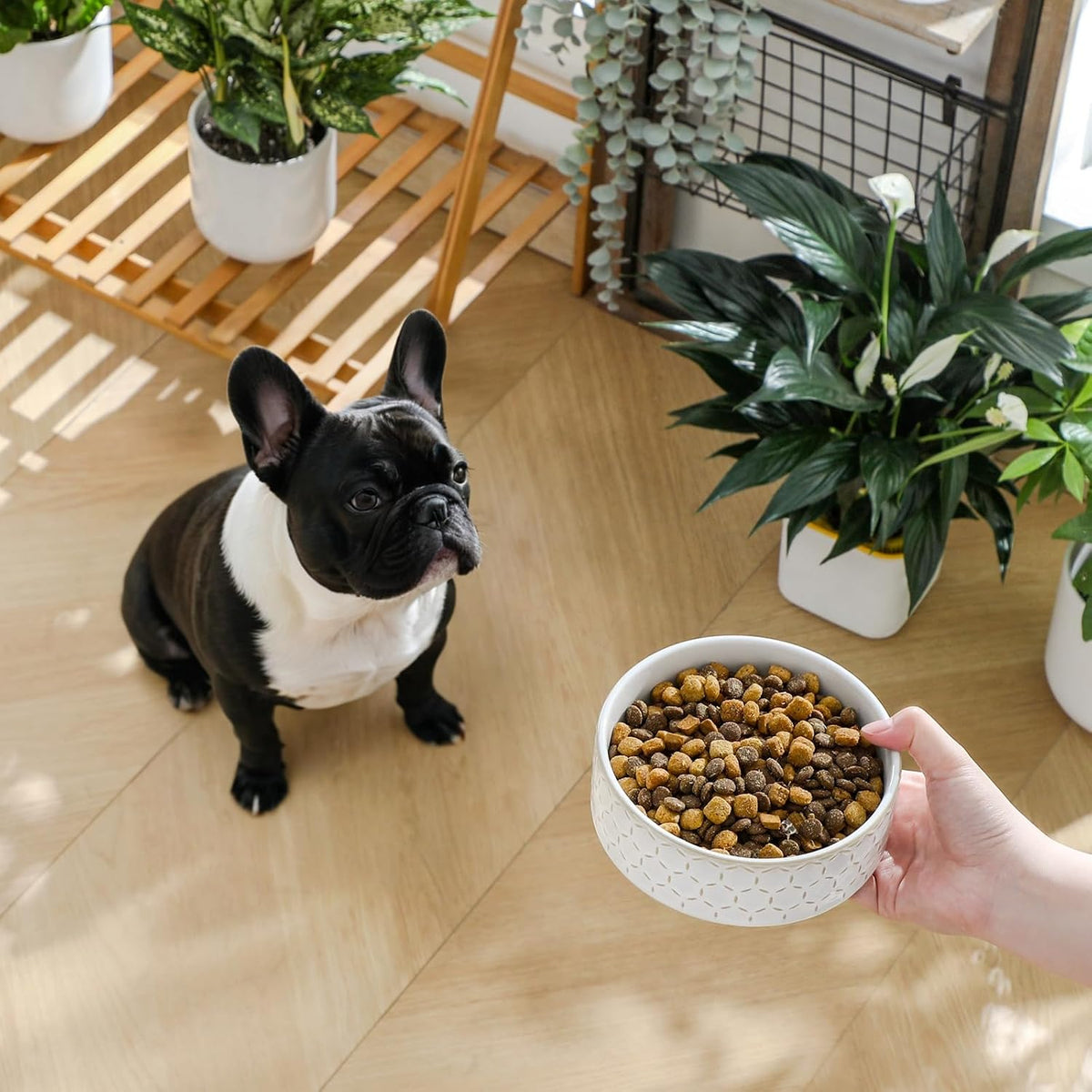 MALACASA Dog Bowl Set, Ceramic Bowls with Walnut Wood Stand - Honeycomb / 2 Cups - image 3