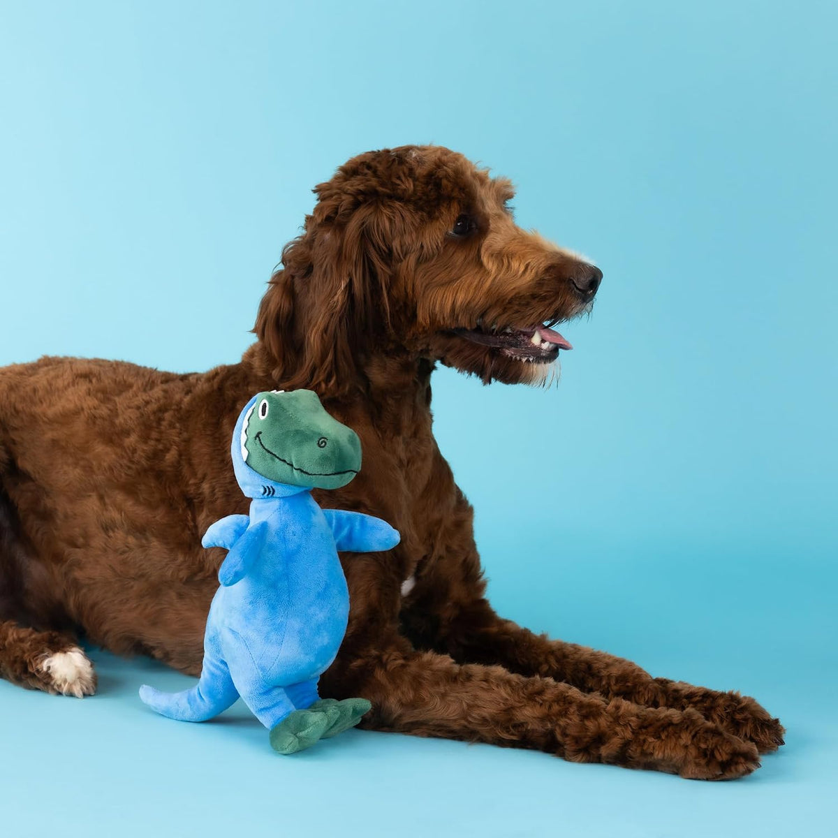 Fringe Studio Dog Plush Pet Toy with Squeaker - Feelin’ Jawsome - image 2