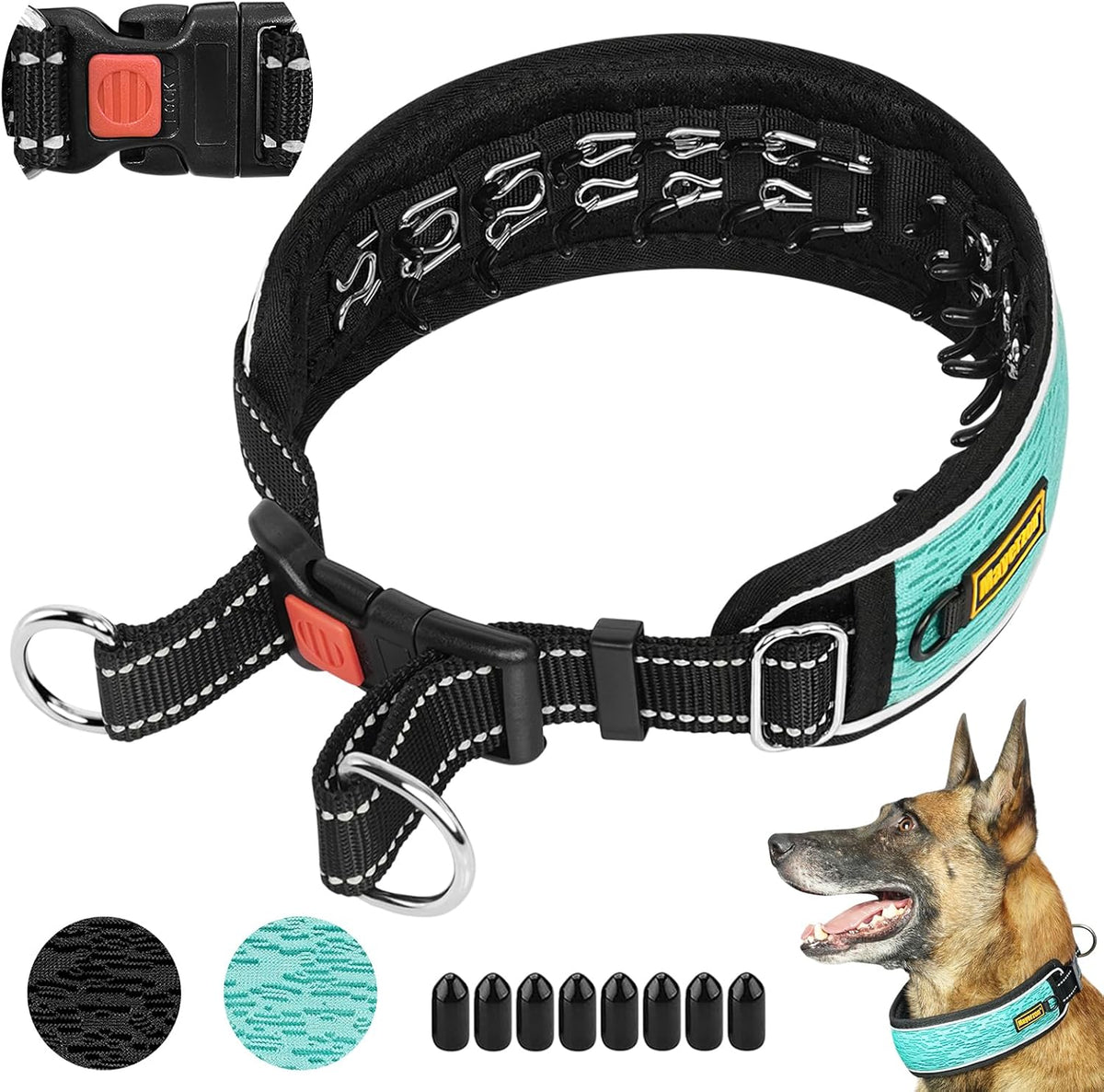 Mayerzon cyan martingale no pull dog collar, size M, with reflective threads