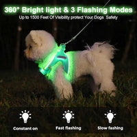 Light Up Dog Harness,Rechargeable LED Dog Harness for Small Medium Large Dogs,Reflective Lighted Safety Vest for Night Walking & Camping,Lightweight & Adjustable,Light Green,M