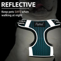 PUPTECK Dog Harness and Leash Set Small Sized - XS (9-13lbs, Chest 14"-16") / #1 Blue(Breathable Mesh) - image 4