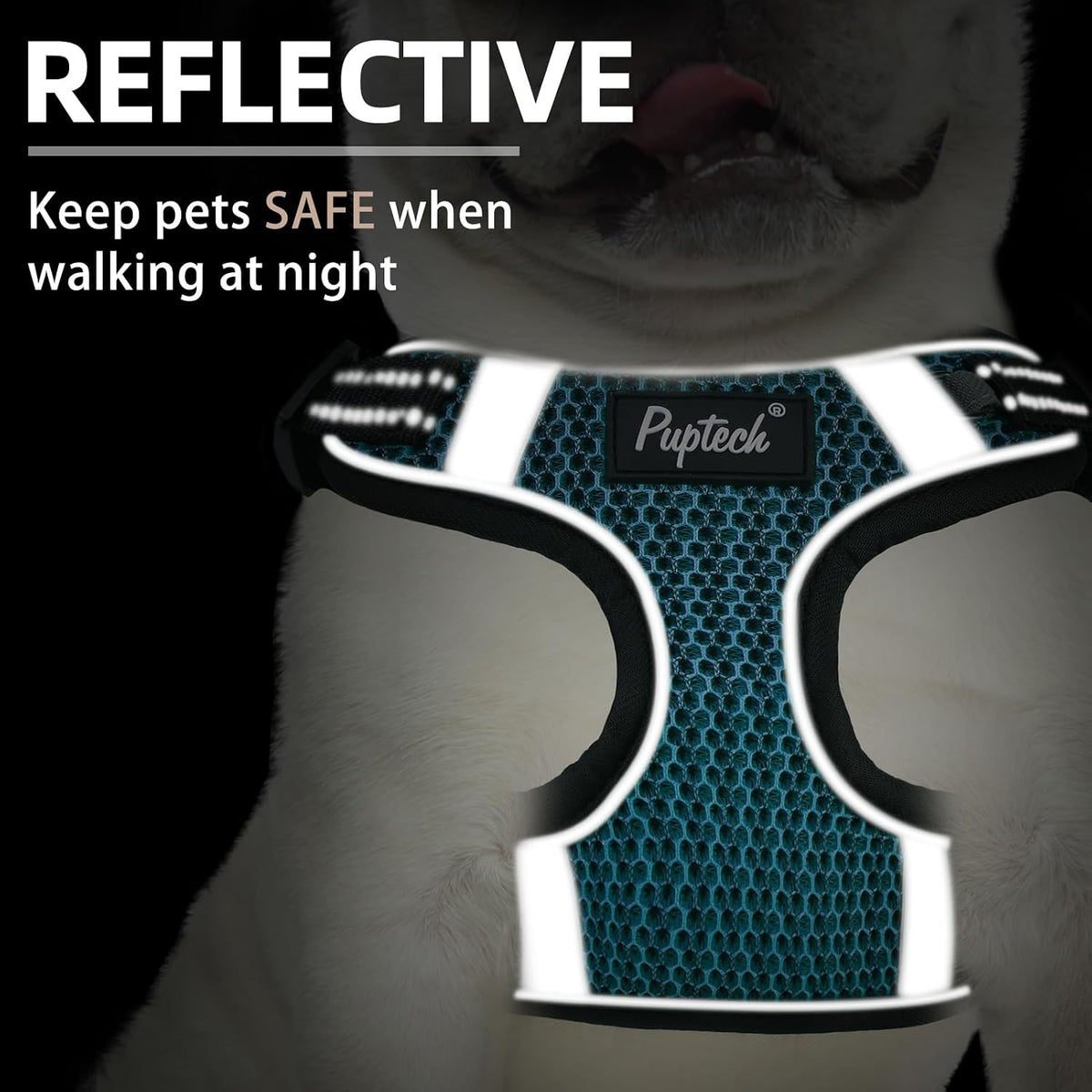 PUPTECK Dog Harness and Leash Set Small Sized - XS (9-13lbs, Chest 14"-16") / #1 Blue(Breathable Mesh) - image 4