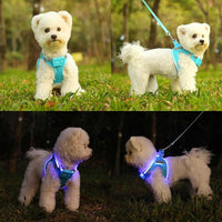 Light Up Dog Harness,Rechargeable LED Dog Harness for Small Medium Large Dogs,Reflective Lighted Safety Vest for Night Walking & Camping,Lightweight & Adjustable,Blue,M