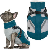 Dog Winter Coat with Harness Built in - Large(Chest:24.4 in) / Turquoise Green