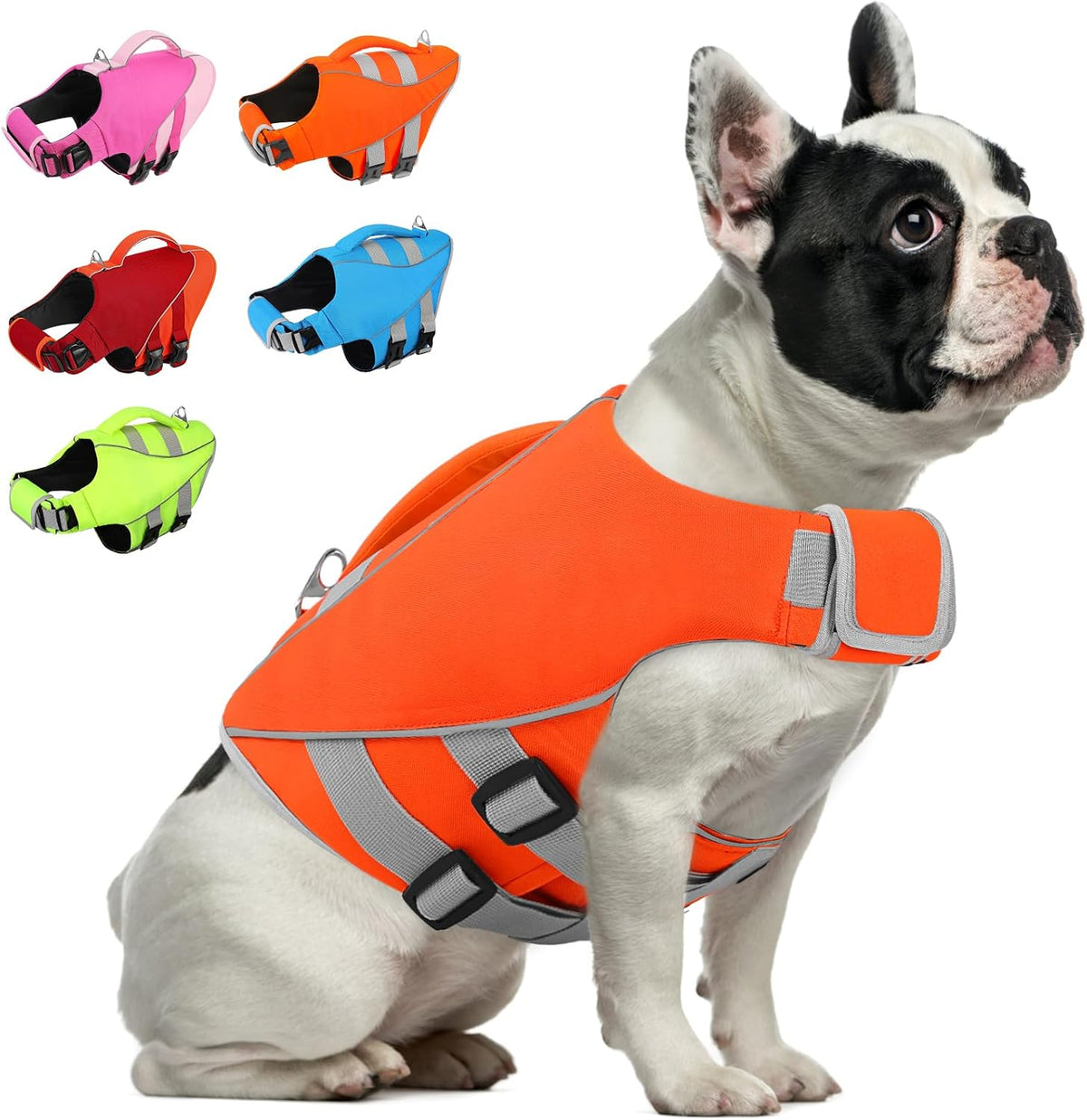 Queenmore XS Dog Life Jacket - X-Small / HiVis Orange