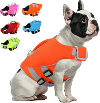 Queenmore XS Dog Life Jacket - X-Small / HiVis Orange