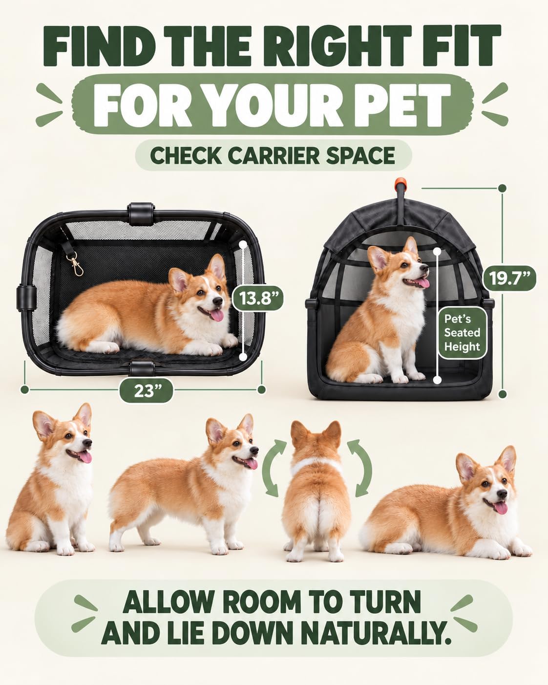 Zoosky 3 in 1 Dog Stroller - 3 in 1 Black / 3 in 1 - image 2