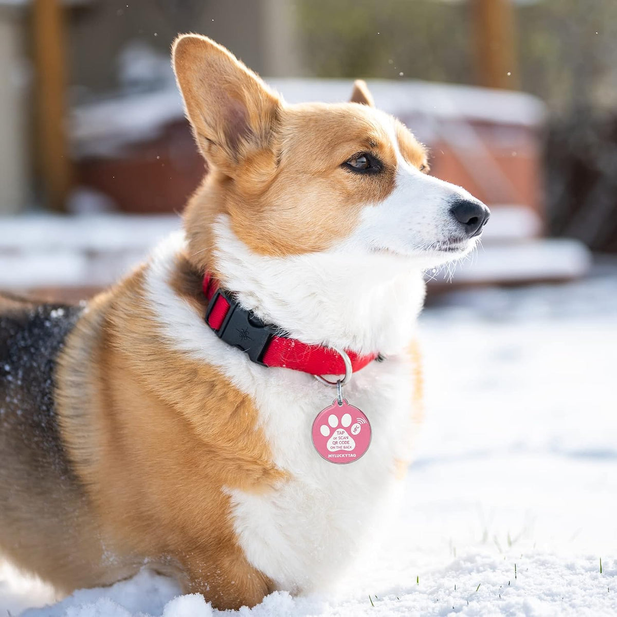 MYLUCKYTAG NFC&QR Code Personalized Dog Cat Tag - Paw,pink - image 4