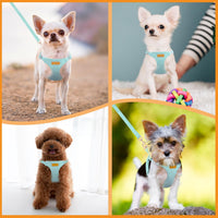 SlowTon No Pull Dog Harness with Leash for Small Medium Dogs - X-Small(6-11lb) / Solid Teal - image 4