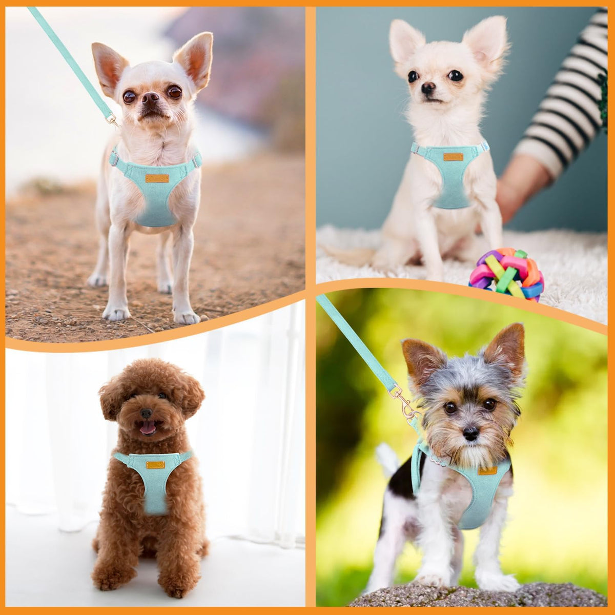 SlowTon No Pull Dog Harness with Leash for Small Medium Dogs - X-Small(6-11lb) / Solid Teal - image 4