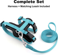 Plutus Pet Adjustable Cat Harness and Leash Set - Light Blue - image 2