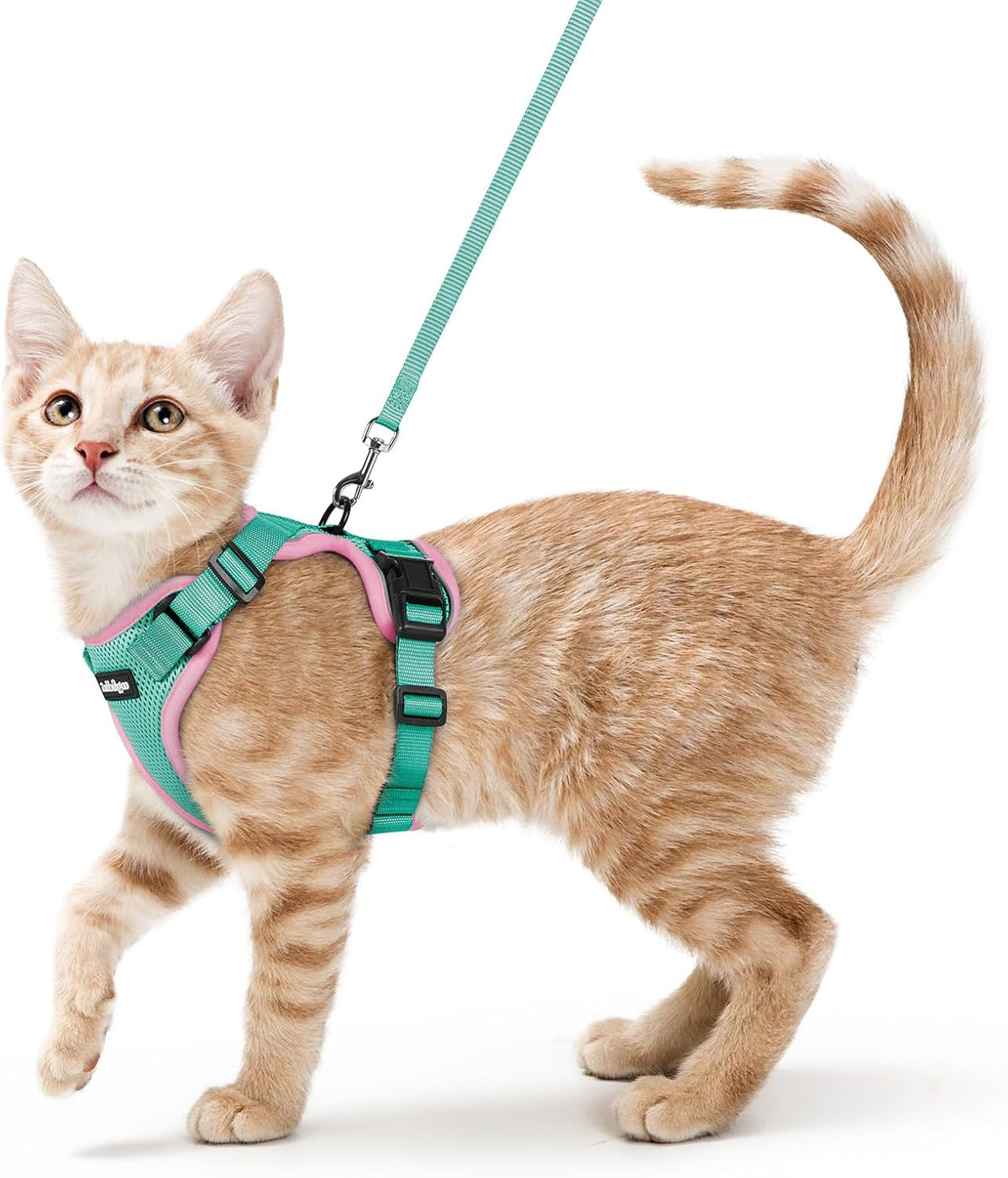 rabbitgoo Cat Harness and Leash Set, Escape Proof Vest - Xs / Green & Pink