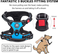PoyPet No Pull Dog Harness Medium with Front Clip & Neck Release - Medium / Blue - image 2