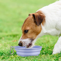Kytely Collapsible Dog Bowls Medium - Lavender & Pink / Medium - image 2