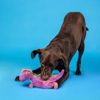 Fringe Studio Dog Plush Pet Toy with Squeaker - Embrace Your Colors - image 4