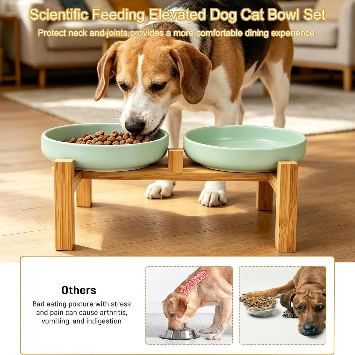 Ceramic Cat Bowls, Shallow Cat Dishes for Food and Water - Mint Green elevated - image 3