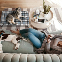 Caghash Elevated Outdoor Raised Dog Bed - Standard - Medium Minus - image 4