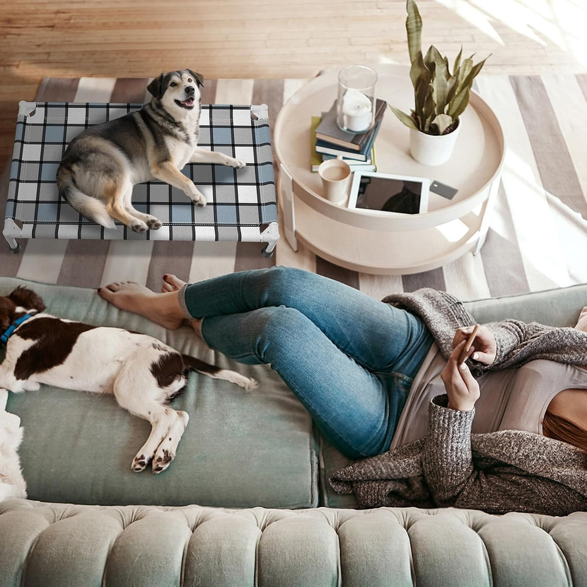 Caghash Elevated Outdoor Raised Dog Bed - Standard - Medium Minus - image 4