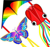 Xida rainbow octopus kite, a frameless ripstop polyester kite with flying line and handle