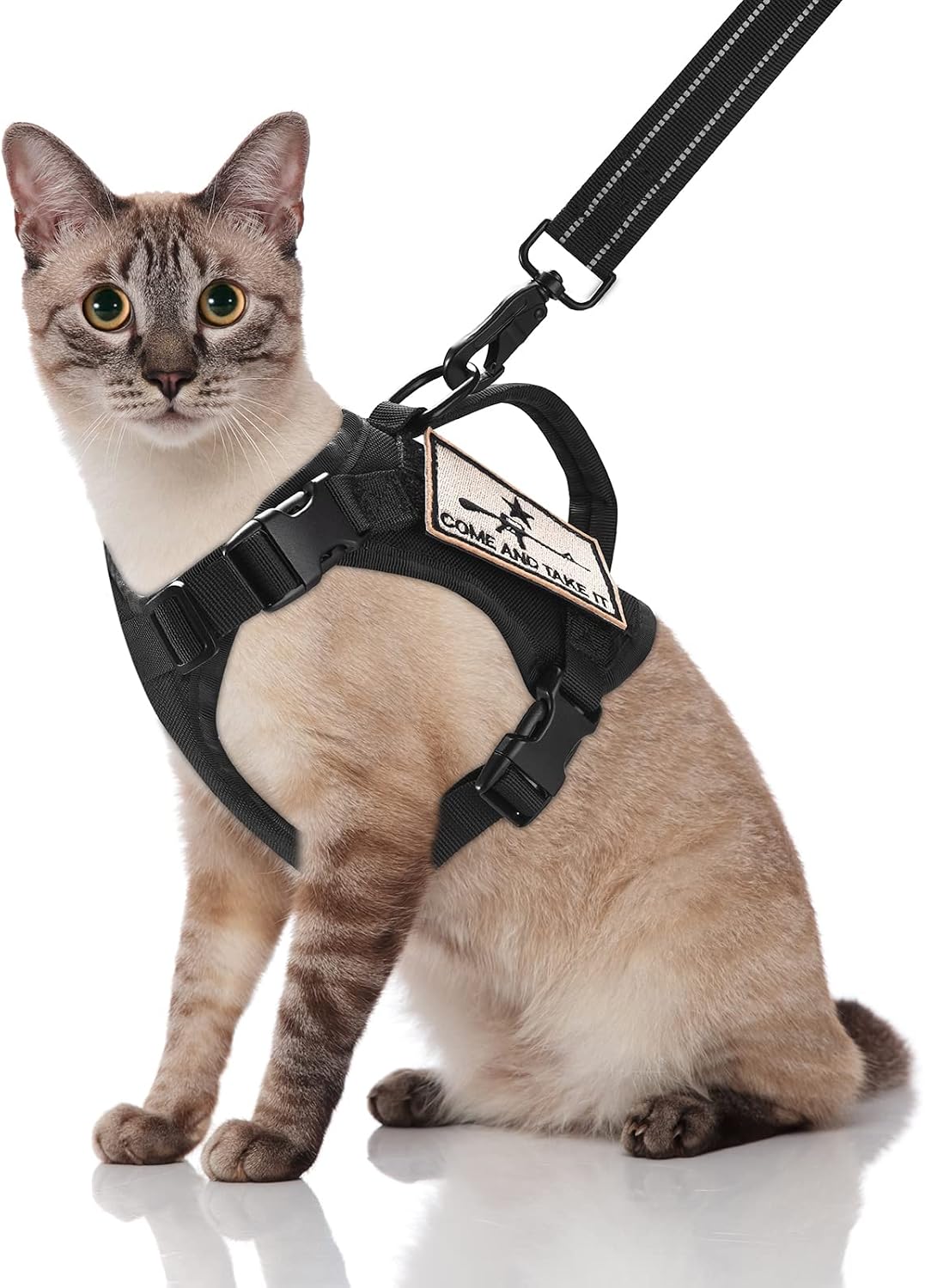 Tactical Cat Harness and Leash - Large / Black