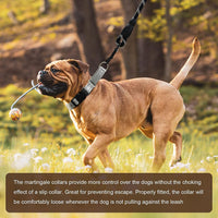 Martingale Collar for Dogs, Reflective Escape Proof, M - Sliver / Medium - image 3