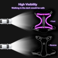 Light Up Dog Harness, No Pull LED Dog Harness with Handle, Rechargeable Lighted Safety Vest for Small Medium Large Dogs, Adjustable Soft Dog Lights for Night Walking